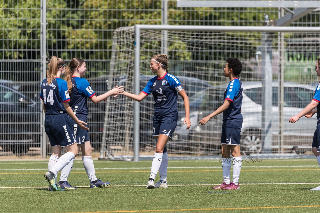 Bild 250 - wBJ Holsatia Elmshorn - VfL Pinneberg : Ergebnis: 1:4